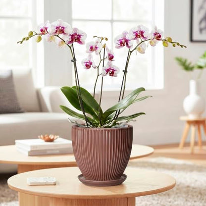 Ceramic Pots for Plants 6 Inch, Ceramic Plant Pots Indoor with Drainage Hole and Saucer, Modern Flower Pot, Round Decorative Planter, Living Room Home Decor, House Warming Gifts, Rust Red - size: 6 Inch, style: Rust Red