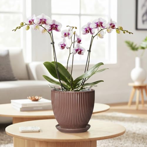 Ceramic Pots for Plants 6 Inch, Ceramic Plant Pots Indoor with Drainage Hole and Saucer, Modern Flower Pot, Round Decorative Planter, Living Room Home Decor, House Warming Gifts, Rust Red - size: 6 Inch, style: Rust Red
