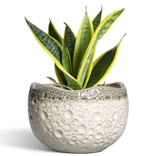 Ceramic Flower Pots - 8 Inch Plant Pots for Indoor Outdoor, Unique Round Planter with Drainage Hole and Plug, Decorative Ceramic Planter, Room Decor, House Warming Gifts, Beige-Grey - color: Beige-grey, size: 8.2 Inch