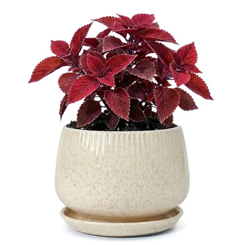 7.5 Inch Ceramic Planter with Saucer,Modern Garden Pots with Drainage Hole Mesh Net, for Indoor Outdoor Use (Silk White) - color: Silk White, size: 7.5 Inch