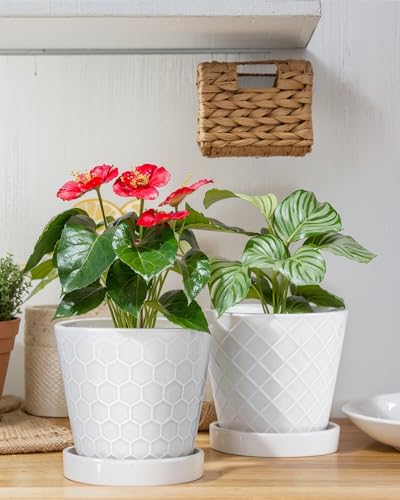 EFISPSS Flower Planter –5 inch Ceramic Plant Pots with Drainage Holes and Ceramic Tray - Gardening Home Desktop Office Windowsill Decoration Gift Set of 4 - Plants NOT Included (White) - color: White
