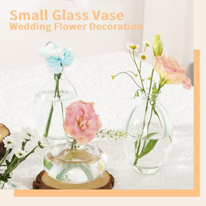Mini Bud Vases As Wedding Centerpieces for Tables,Clear Bud Vases for Flowers,Small Flower Vases Suitable for Birthday Party,Anniversary,Wedding Reception,Baby Shower (Clear, 28PCS) - color: 28pcs