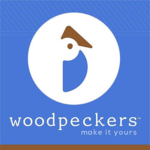 Woodpeckers Mini Wooden Shaker Pegs 1-3/4-inch w/ 3/16-inch Tenon, Pack of 50 DIY Wooden Wall Hooks, Wood Hooks for Hanging Jewelry - color: Pack of 50, size: 1-3/4 Inch Tenon