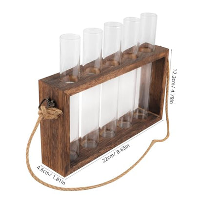 Toyvian 1 Set Wall Mounted Hydroponic Planter with Wooden Stand of Glass Test Tube Vases for Home Decoration for Plant Terrariums and Propagation Stations
