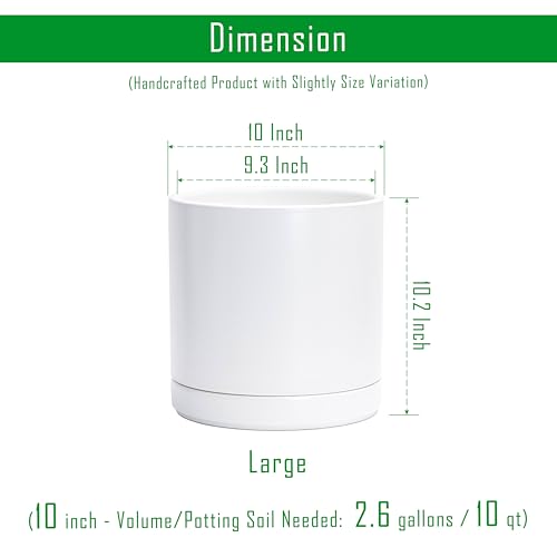 D'vine Dev 10 Inch Ceramic Planter Pot, White, 94-O-E-1 | Modern Cylinder Design, Drainage Hole & Saucer Included, Stable Structure, Elegant Home Accent - color: White, size: Large