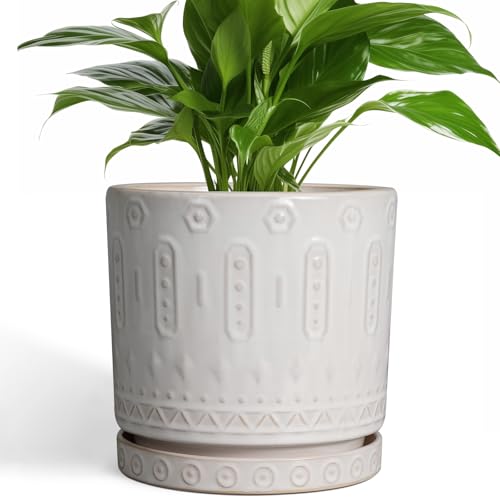Eightpot Ceramic Planter for Indoor Plants - 8 Inch Plant Pot Outdoor Flower Pot with Drainage Holes and Saucer Modern Round Planter Succulent Pot for Home Garden Decor White - color: White, size: 8 Inch