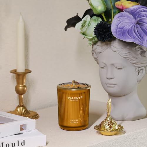 Jar Candles for Home Scented | Aromatherapy Candles Gifts for Women & Men | Natural Soy Candle | 8.4oz Traditional Style | Amalfi Citrus - color: Amalfi Citrus