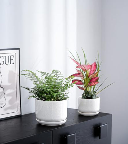 Ceramic Planters,Plant Pots with Saucers Set of 3(Reactive Glaze White) | Colorful Ceramic Planters for Indoor Plants | Medium Plant Pots | Cute Herb Planting Pots | 4+5+6.5 Inch Garden Pots - color: Speck