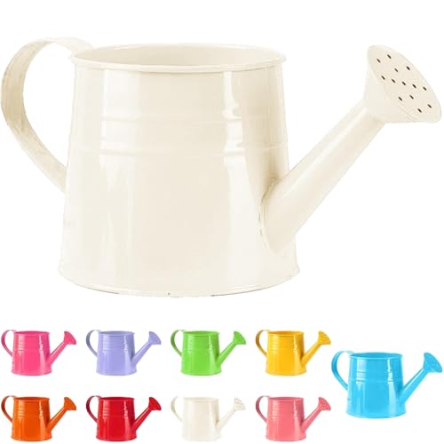 Tinplate Watering Kettle 1L, Mini Metal Watering Can with Long Spout and Handle, Vintage Flower Sprinkling Can for Indoor Plants, Patio and Garden Use (White-B01) - color: White-b01