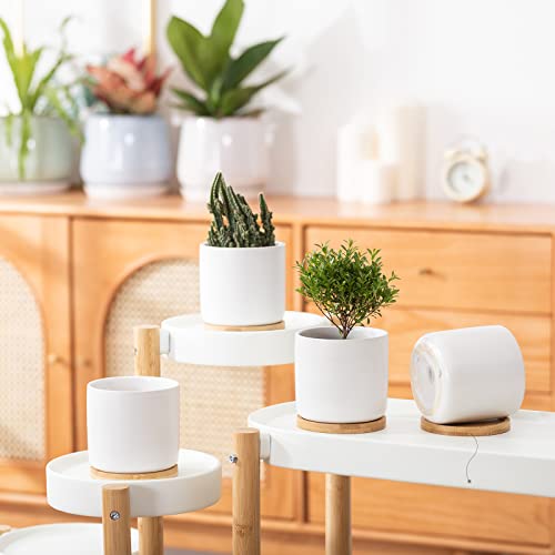 4 Inch Ceramic Plant Pot with Saucer, White Planters Pots with Drainage Hole and Mesh Pads for Succulent, Snake, Cactus, Herbs - 4 Packs(Plant Not Included) | White Planter Pot Set, Modern Indoor Outdoor Planters, for Succulent Snake Cactus Herbs, Plant N