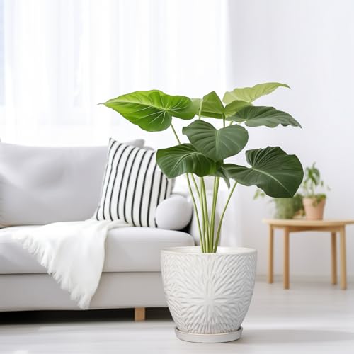 G EPGardening 8 Inch Ceramic Plant Pot with Drainage Hole and Saucer Round Planter Pot for Indoor Outdoor Plants Modern Large Flower Pot White - size: 8 Inch