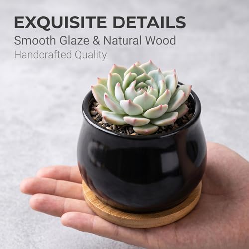 SHECIPIN 2 Pack Succulent Pots, 2.5 Inch Mini Ceramic Pots for Flower or Cactus Plants with Drainage Hole,Plants Not Included (Black) - color: 2 Pack Black Mini Pots