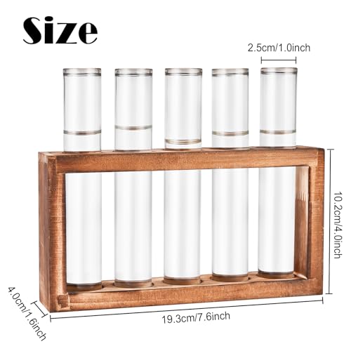 Tigvio Desktop Glass Plant Propagation Station (5 Tubes) | with 5 Test Tubes in Wooden Stand - Hydroponic Plants Cutting Office Home Decoration and Garden Decor Terrarium - size: 5 Tubes
