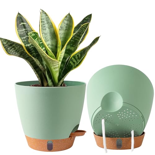 2 Pack 8 Inch Pots for Plants Indoor, Plastic Self Watering Planters | Drainage Holes, Water Level Indicator & Deep Reservoir, Decorative Flower Pots Indoor Outdoor Use, Green - color: Green, size: 8 Inch