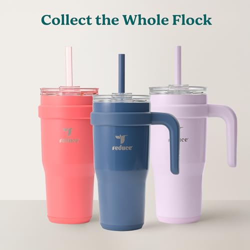 REDUCE 24 oz Stainless Steel Tumbler with Handle - Dual-Wall Vacuum Insulated Travel Mug, Sweat-Proof Lid & Reusable Straw - Keeps Drinks Cold for 24 Hrs, Fits Cupholders, Dishwasher Safe - Sea Glass - color: Sea Glass, size: 24 Ounces