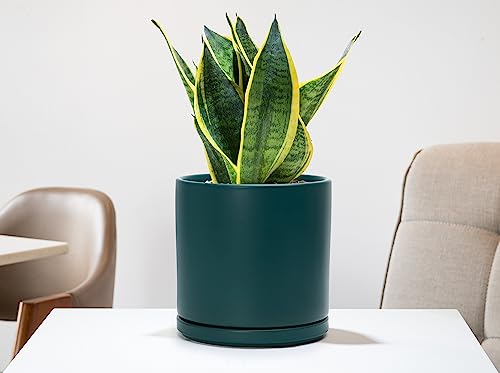 D'vine Dev 8 Inch Ceramic Planter Pot, Teal, 94-O-D-9 | Modern Cylinder Design, Drainage Hole & Saucer Included, Stable Structure, Elegant Home Accent - color: Teal, size: Medium