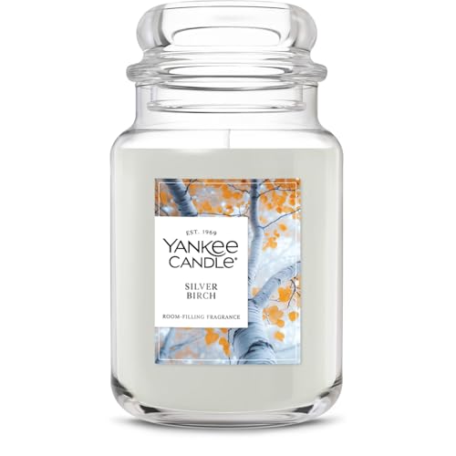 Yankee Candle Silver Birch, Holiday Scented Candle, 22oz Large Jar, Up to 150 Hour Burn Time, Giftable - color: Silver Birch, size: 22 oz