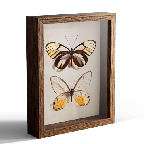 8x10 Shadow Box Picture Frame Display Case with Soft Linen Back, Brown Wooden Memory Shadow Box Frame with Tempered Glass Cover for Wall or Tabletop Display - color: Brown, size: 8x10