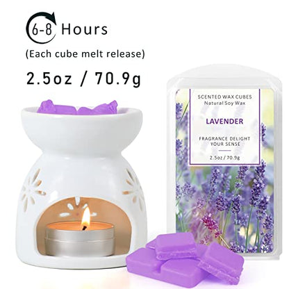 Wax Melts, Scented Melts Cubes for Wax Warmers, 4 x 2.5 oz | Summer Flower Scent Wax Melts - Rose, Lavender, Jasmine, Cherry, Home Fragrance Decor