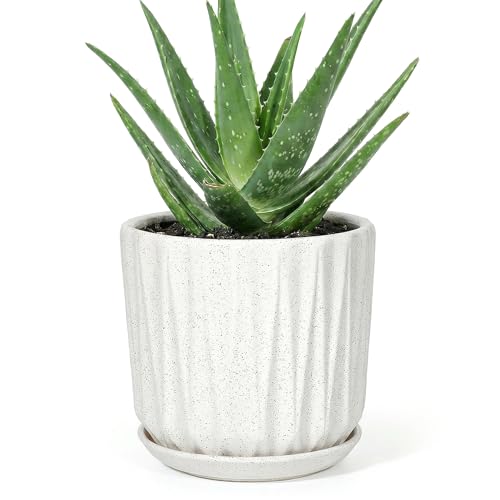 7.5 Inch Ceramic Planter Pot with Saucer Drainage Leak-Proof Mesh,Flower Pots for Indoor Plants with Gardening Gloves,Ceramic Planter(Waxen White) - color: Waxen White, size: 7.5 Inch