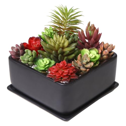 MyGift Black Ceramic Square Indoor Planter with Drainage Hole & Tray | Modern square ceramic planter adds sleek style to small plants and succulents, with a drainage hole and removable drip tray - color: Black