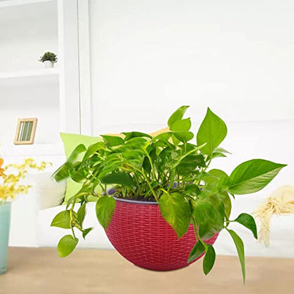 Vencer 11 Inch Round Resin Rattan Hanging Planters,Red,VF-A15-R | Self Watering,Drain Hole,Metal Chain,Water Indicator,Indoor Outdoor - color: Red