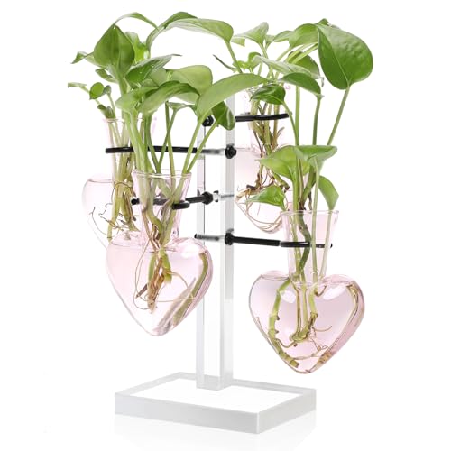 Plants Propagation Stations Plant Terrarium Kit Gift for Women | Birthday Glass Planters For Indoor Plants Home Office Decor Acrylic Plant Accessories - 4 Love Hear Vase - color: Pink