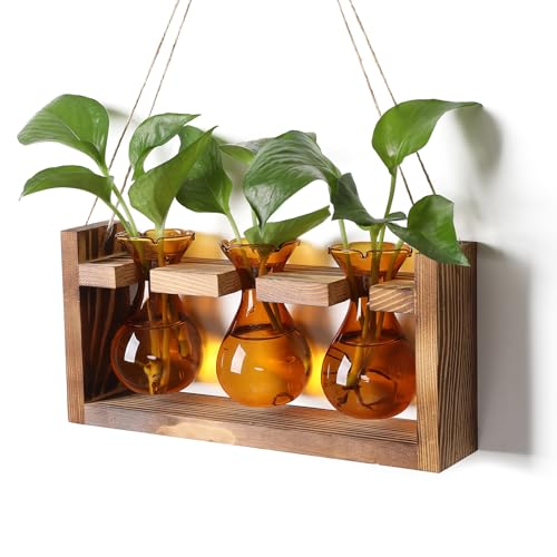 Plant Propagation Station Plant Terrarium Unique Birthday Gifts for Women | Plant Lovers Home Office Decor Planter with Wooden Stand - 3 Bulb Glass Vase - color: Amber