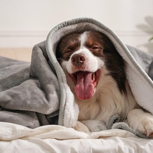 gogobunny Waterproof Bed Blanket, Reversible Sherpa Fleece Throw Blanket for Dog Puppy Cat, Furniture Cover Protects Bed Couch Sofa from Liquid Pee and Pet Fur (Grey, 25x35 inches) - color: Grey, size: 25x35 inches