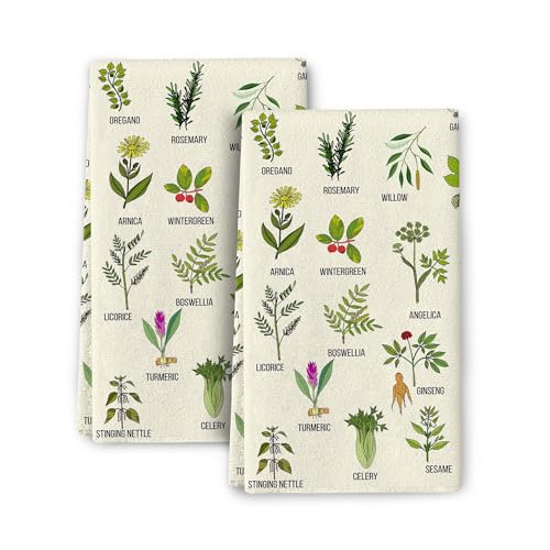 Cute Herbs Botanic Garden Plants Kitchen Dish Towels Set of 2, Ultra Soft Absorbent Hand Drying Baking Cooking Cloth, Spring Summer Holiday Home Decor 16'' x 24'' - color: Cute Botanic