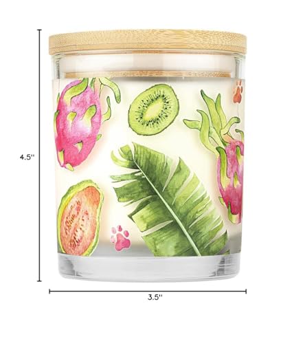 Pet House Candles, Clean Burning, Long Lasting Pet Odor Candles, Plant-Based, 60 Hour Burn Time - Tropical Fruit, 9 oz, 2 Pack - color: Tropical Fruit, size: Pack of 2