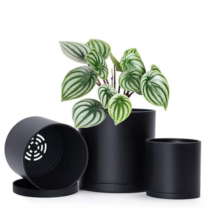 D'vine Dev 3-Pack Plastic Pots & Saucers, 4/5/6 in, Black, 74-V-B-1 | Multi-Size Options, Lightweight Durable, Matte Finish, Cylinder Shape, Drainage Holes, Sleek Design, Detachable Saucer - color: Matte Black, size: Small
