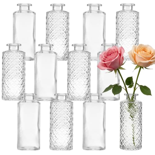 12 Set Glass Bud Vases for Centerpieces Small Clear Flower Vases Mini Vintage Vases Rustic Modern Decorative Vases Clear Bud Vases for Wedding Birthday Party Bridal Shower Home Table Decor