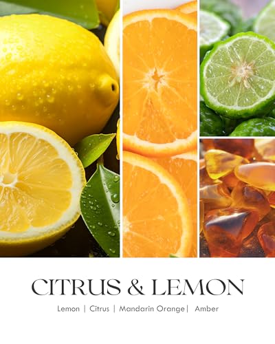 AOOVOO Citrus Lemon Large Odor Eliminating Candle - 11oz Soy Candles | Eliminates 95% of Smoke, Food, Pet and Other Smells Quickly, Non Toxic Air Freshing Candle, Up to 50 Hours Burn time - size: 11 Ounce (Pack of 1)
