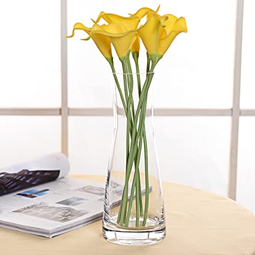 Aoderun Flower Vase for Decor 10" Clear Glass Vase for Centerpieces Large Vases for Flowers Dried Flower Home Decor Living Room Kitchen Office Wedding(Clear) - color: Clear