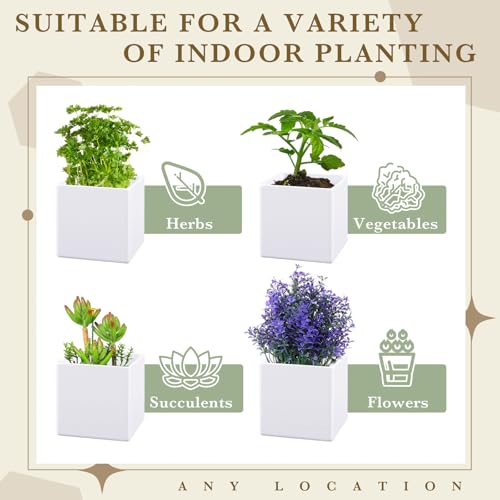 6 Pcs Herb Garden Planter Set Herb Garden Kit Indoor Plastic Plant Pots with Drainage and Saucer Succulent Cactus Vegetable Window Boxes Planter for Windowsill Indoor Outdoor Pots