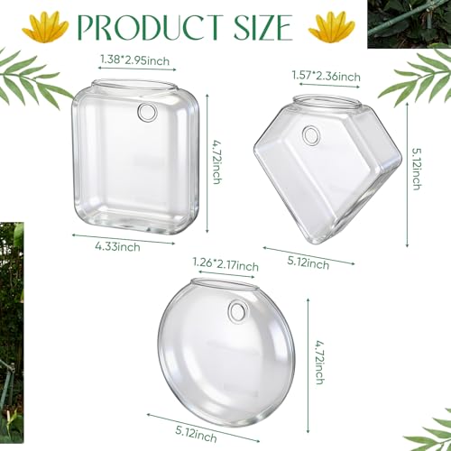 LemonRoad 6 Pcs Wall Hanging Glass Wall Hanging Planter Propagation Station Terrariums Clear Glass Vase Container for Hydroponic Plant Home Office Living Room Bathroom Garden Decor
