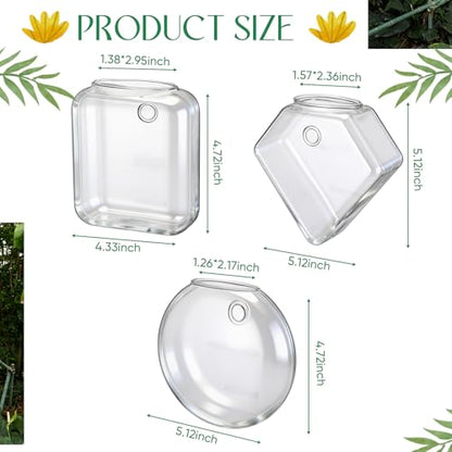 LemonRoad 6 Pcs Wall Hanging Glass Wall Hanging Planter Propagation Station Terrariums Clear Glass Vase Container for Hydroponic Plant Home Office Living Room Bathroom Garden Decor