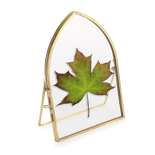 JUXYES Tabletop Mini Brass Double Glass Ornament Frames for Pressed Flowers | 4x6 Glass Floating Frames for Display Dried Plant Specimen Picture, Countertop Taper Gold Vintage Double Sided Photo Frame - size: 4" x 6"