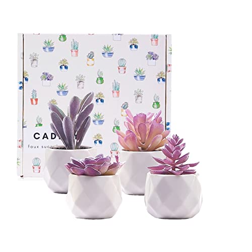 CADNLY Fake Succulent Plant Set Desk Plants Faux Succulents Pots Mini Purple Decor
