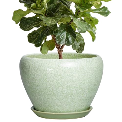 10 Inch Ceramic Planter, Crackle Light Green | Drainage Hole and Saucer, Indoor Outdoor Use, Round Shape, Room Decor - color: Crackle Light Green, size: 10 Inch