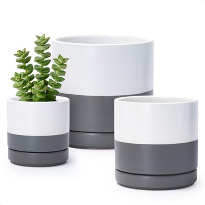 D'vine Dev 3-Pack Ceramic Pots with Saucers, 4/6/8 in, White/Grey, 94-T-M-6 | Glazed Ceramic, Drainage Hole, Perfect-Fit Saucer, Sleek Cylinder Shape, High Temperature Fired, Elegant Home Accent - color: White/Speckled Grey, size: 4"+6"+8"