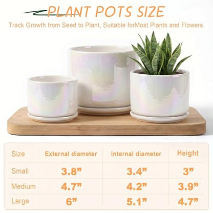 EFISPSS Plant Pots, 4+5+6 Inch Pots for Indoor Plants,Ceramic Planter Pot with Drainage Hole,Flower Pots for Succulent Cactus,Set of 3 - Rainbow Pearl Glaze - color: Rainbow Pearl Glaze