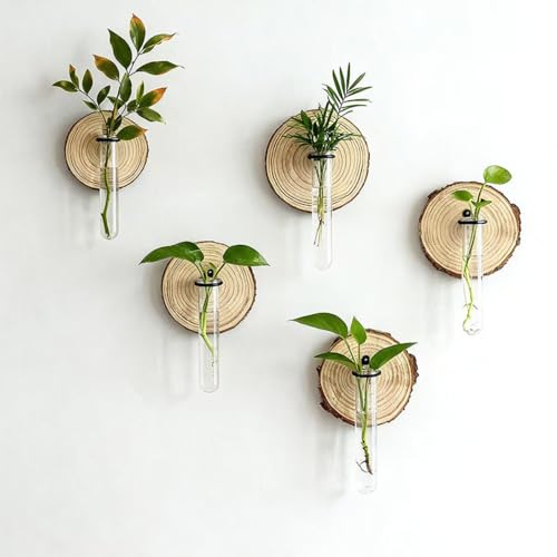 Wall Mounted Test Tube Vase with Natural Wood Slice Base, Hanging Propagation Station for Plants, Rustic Boho Home Decor (5pc Multicolor) - color: 5pc Multicolor