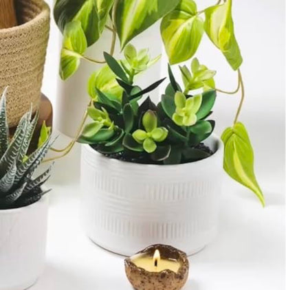 Kurrajong Farmhouse Artificial Plant in White Ceramic Pot | 7.5" Fake Plant for Desk Decor | Artificial Succulent in Pot | Fake Succulent | Faux Plant for Shelf Decor