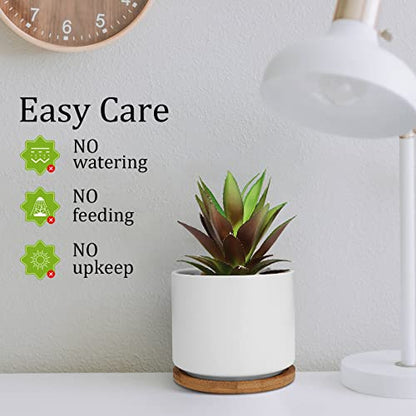 Hopewood Artificial Pineapple Succulents Plant with Ceramic Pot Wooden Tray | Faux Agave Succulent Plant in White Ceramic Pots, Potted Artificial Plants for Home, Office Desk and Bathroom Decor - size: 1 Set Pineapple