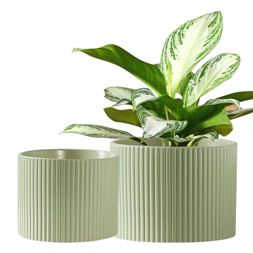 Ceramic Plant Pots, 8.1 + 6 Inch Planters for Indoor Plants, Modern Flower Pot for Plant with Drainage, Medium Cylinder Flower Pots for Indoor/Outdoor, House Plants, Matte Green - color: Matte Green