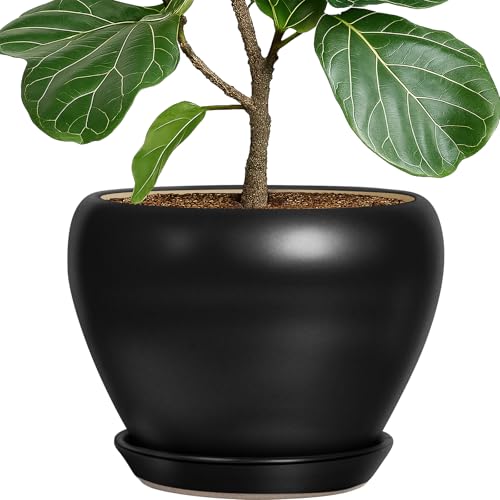 Deep Dream 10 Inch Plant Pot- Ceramic Planter Pot Round Plant Pots for Indoor Plants Outdoor Large Flower Pot with Drainage Holes & Trays, Black - color: Matte Black, size: 10 Inch