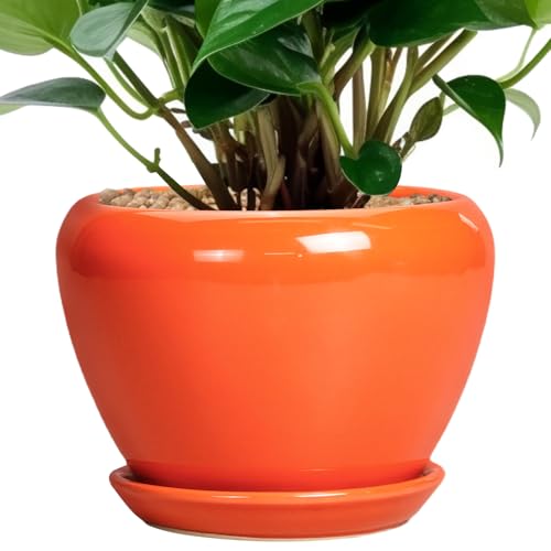Ceramicfor Ceramic Plant Pot 6 Inch - Ceramic Planter for Indoor Plants Outdoor, Glaze Round Modern Flower Pot with Drainage Hole and Saucer, Gift for Plant Lover, Home Garden Room Decor, Orange - color: Glossy Orange, size: 6 Inch