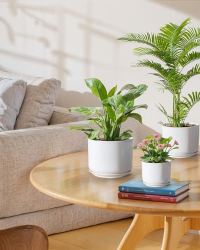 EFISPSS Plant Pots, 4+5+6 Inch Pots for Indoor Plants, Ceramic Planter Pot with Drainage Hole, Flower Pots for Succulent Cactus, Set of 3 - White - color: White